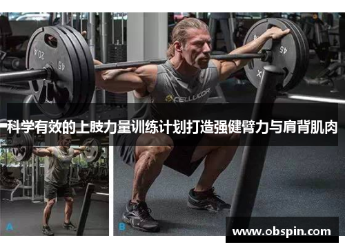 科学有效的上肢力量训练计划打造强健臂力与肩背肌肉